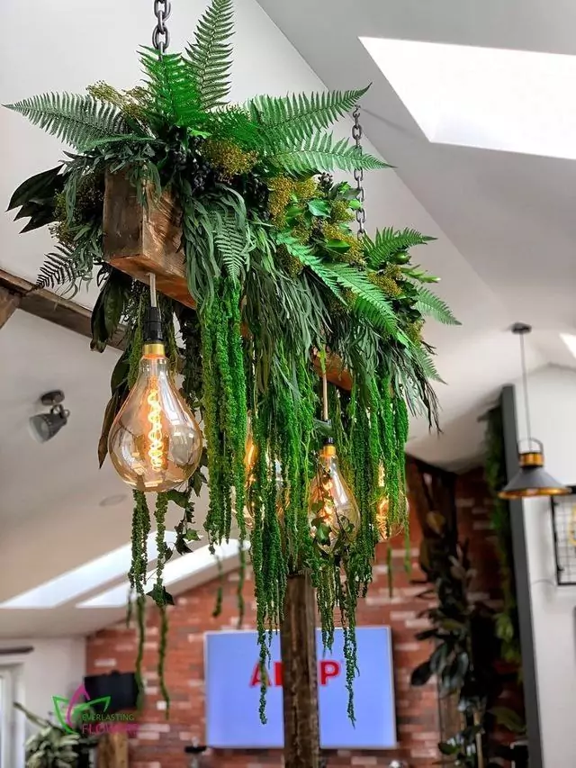 image of-green-plant-home